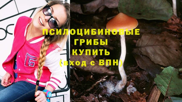 2c-b Лабытнанги